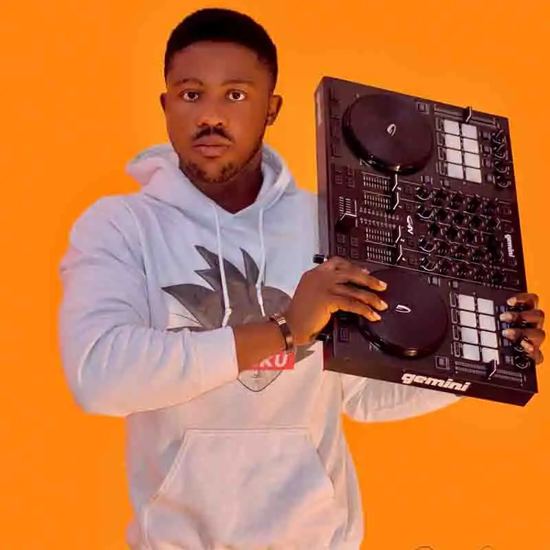 DJ Successful The Professional RnB Hip-Hop Mixtape